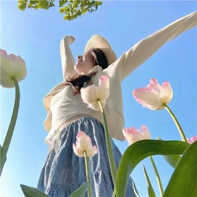 超人与蝙蝠侠：全民公敌